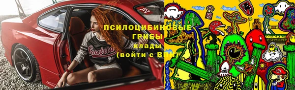 тгк Алексеевка