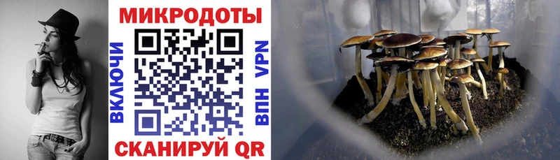 хочу   Спасск-Рязанский  Галлюциногенные грибы мухоморы 